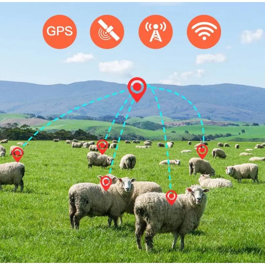 Localizador GPS Batería de larga duración MovilTecno 871